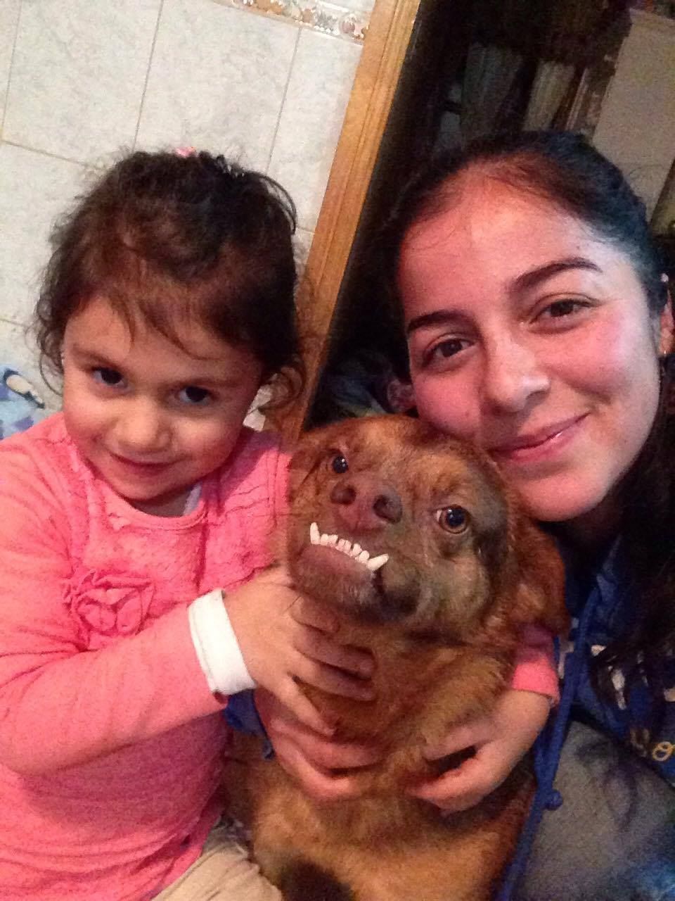 murci chilaquil muerto