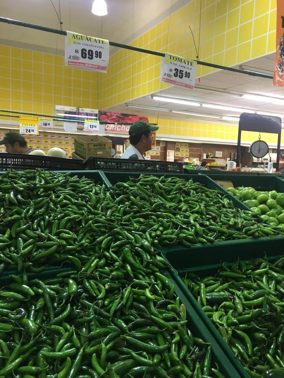 El kilo de chile serrano aumentó $15 en 8 días 