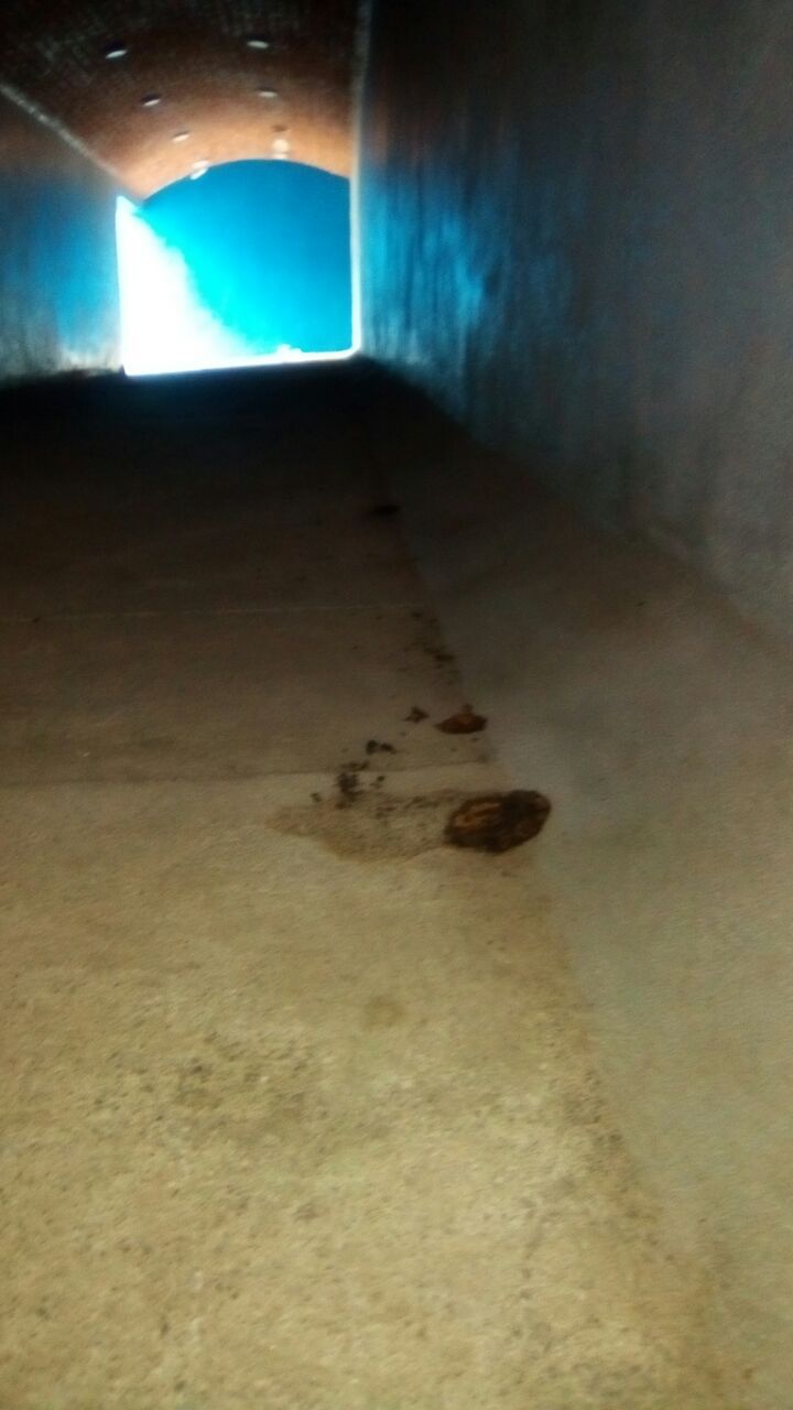 Convierten 'Túnel del beso'