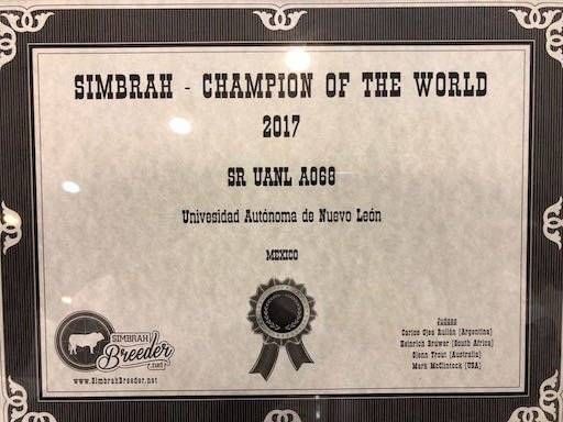 Reconocen mundialmente a toro mexicano con “mejor material genético”