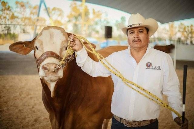 Reconocen mundialmente a toro mexicano con “mejor material genético”