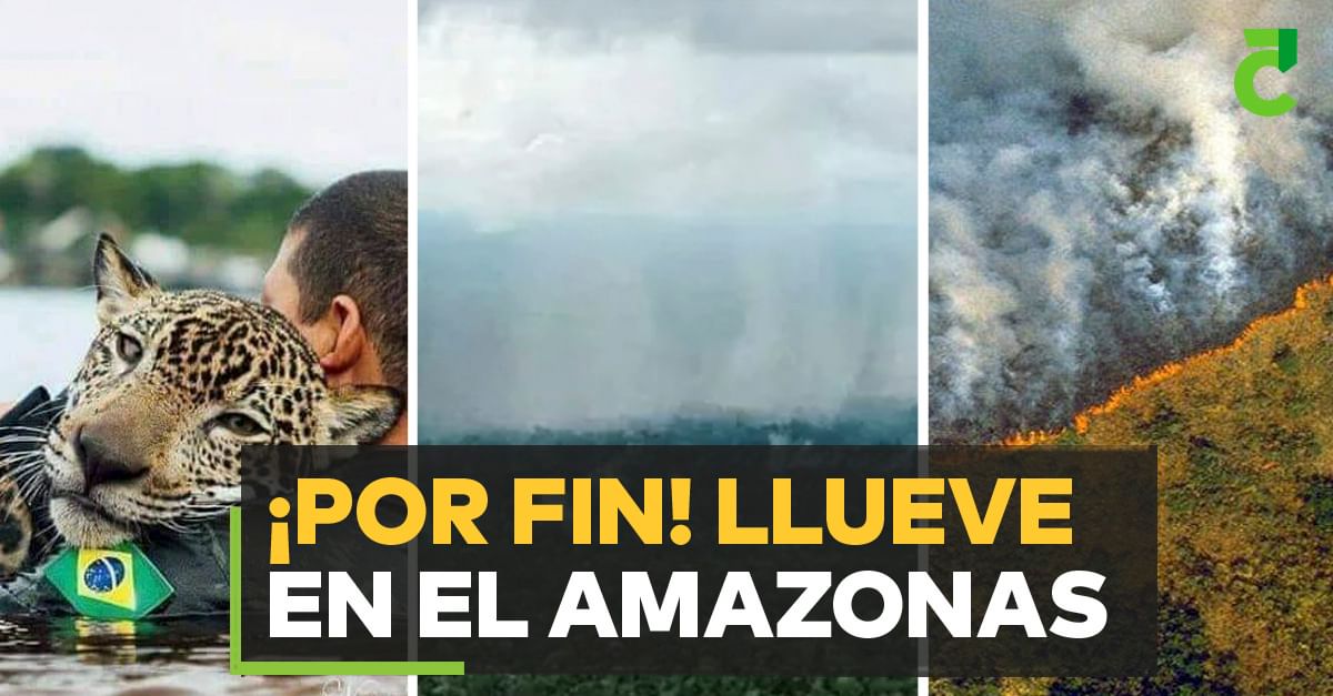 ¡Por fin! Llueve en el Amazonas