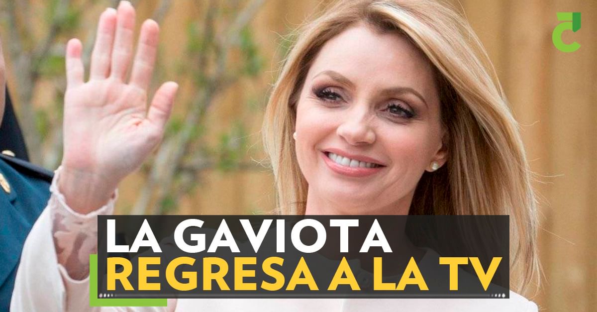 La Gaviota regresa a la TV