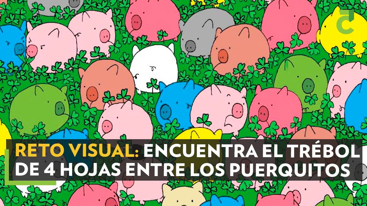 RETO VISUAL: Encuentra el trébol de 4 hojas entre los puerquitos