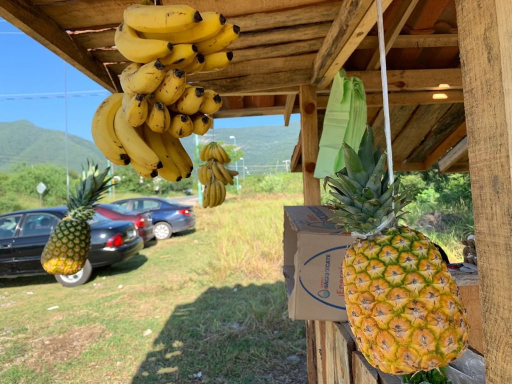 Frutería-Alianza