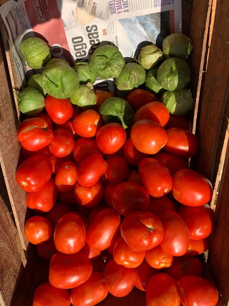 Frutería-Alianza