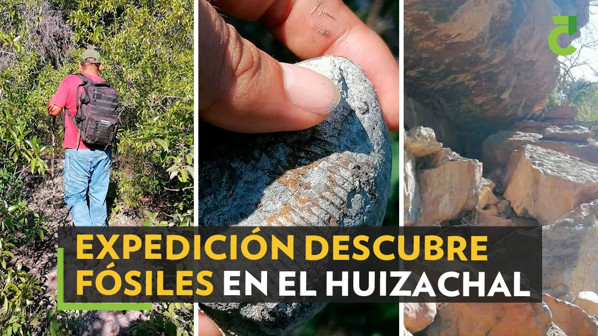 En busca del tesoro escondido en El Huizachal, en la Sierra Madre Oriental