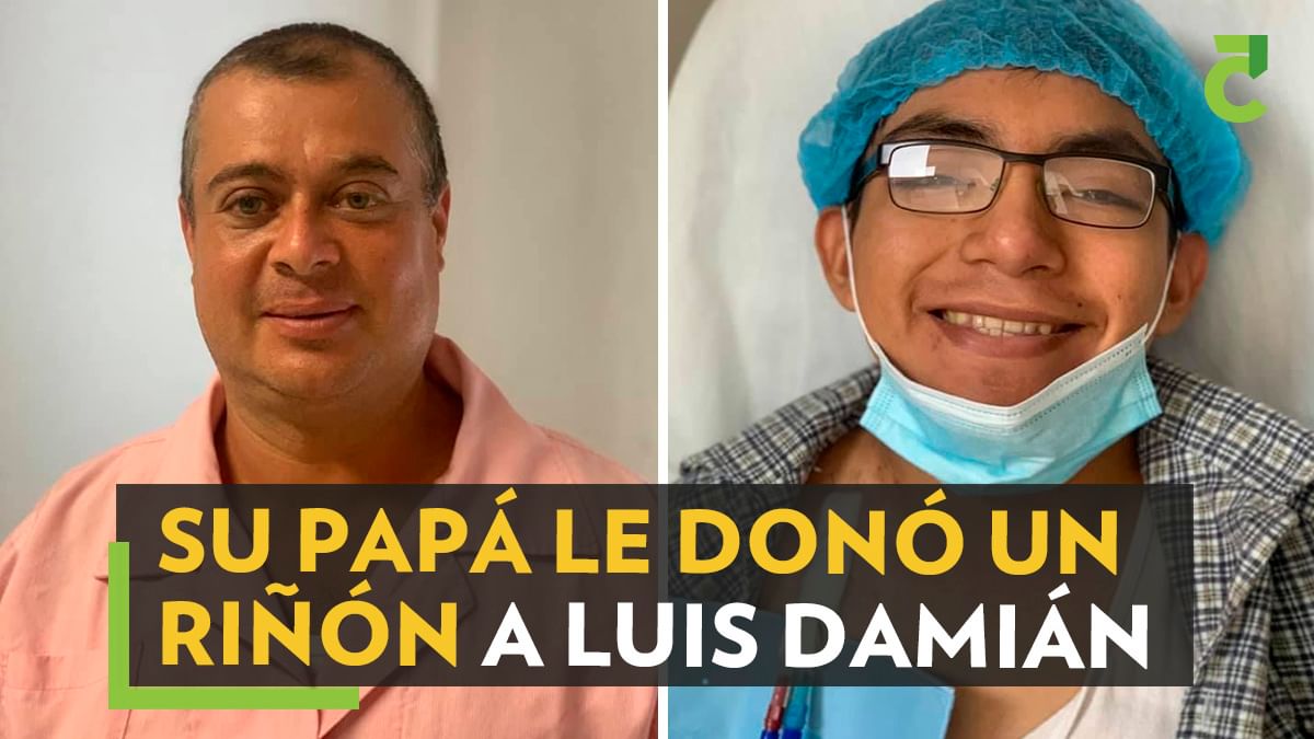Dona-riñón
