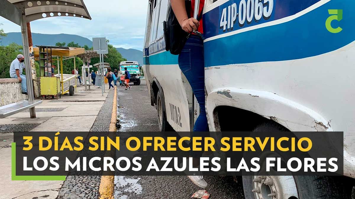 micro-las-flores-ciudad-victoria-sin-servicio