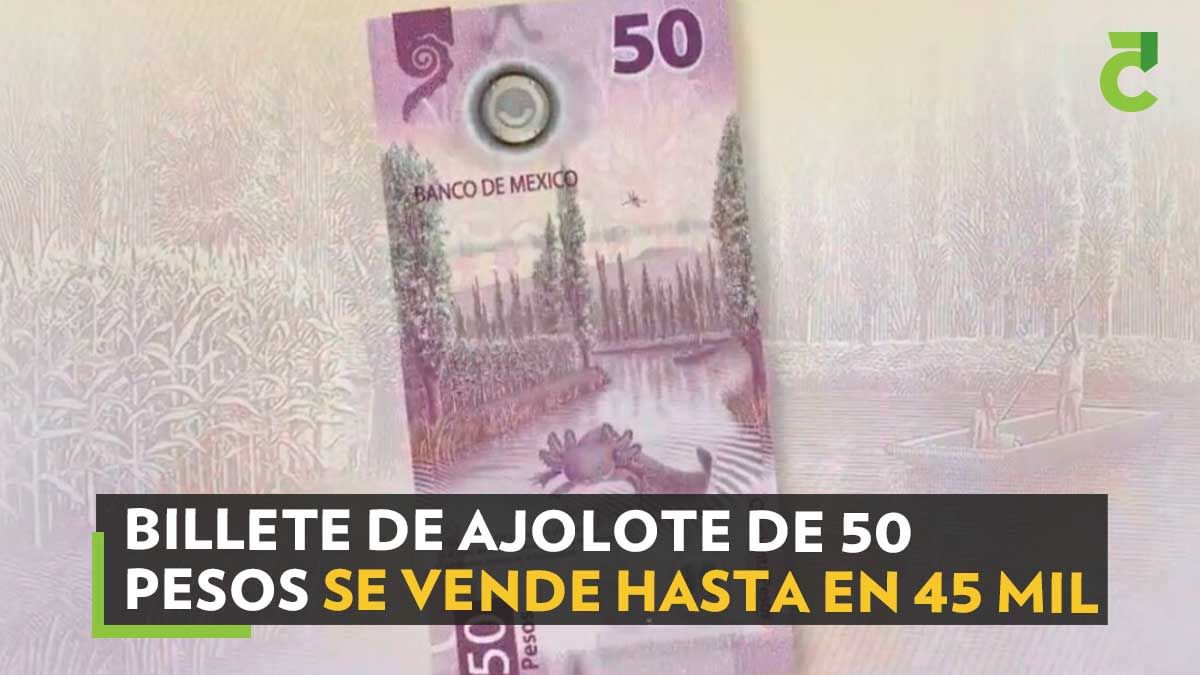 Billetes-y-monedas