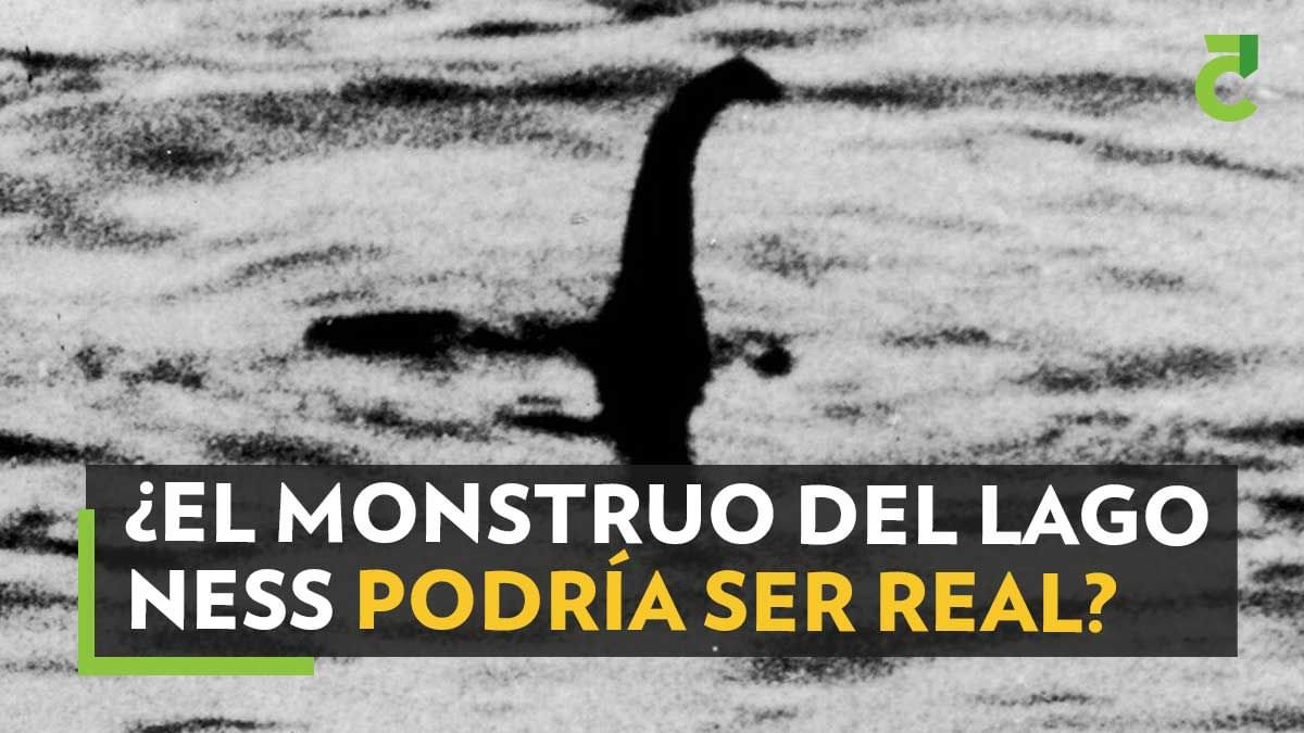 El Monstruo del Lago Ness podría ser real