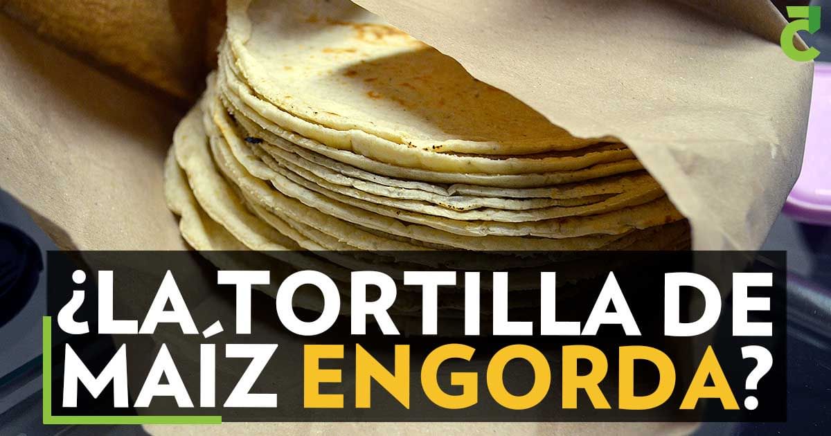 ¿La tortilla de maíz engorda?