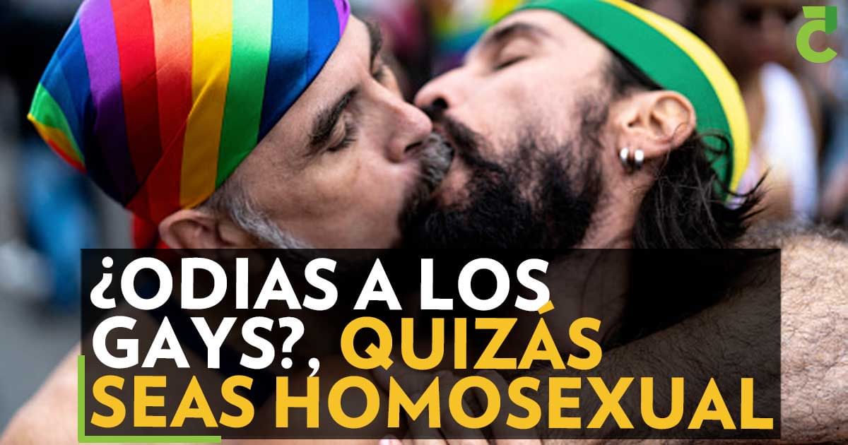 odias-a-los-gays-quiz-s-seas-homosexual