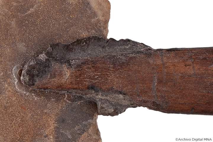 Dardo-de-Átlatl