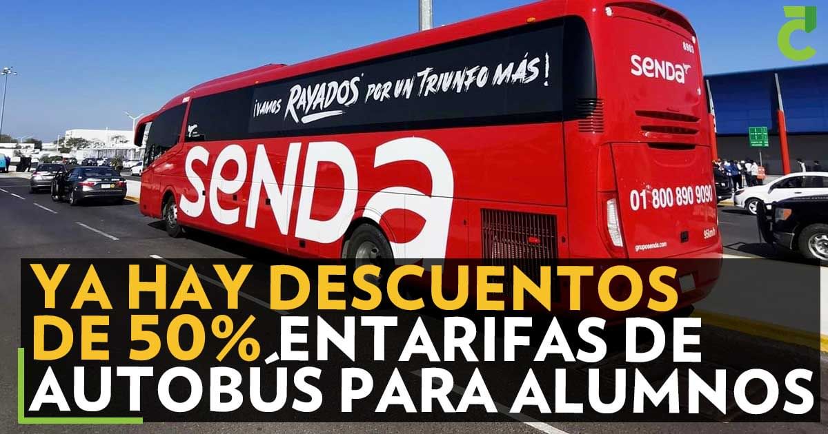 Ya hay descuentos de 50% en tarifas de autobús para alumnos