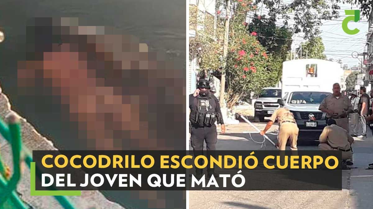 cocodrilo-mata-joven