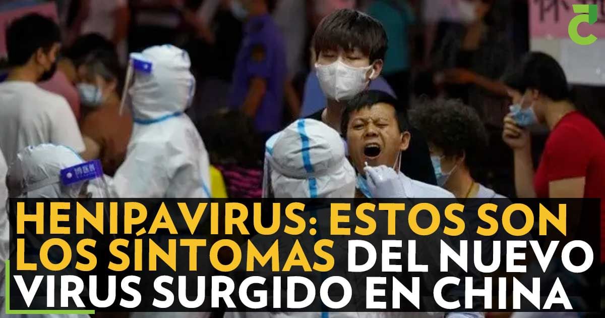 Henipavirus: Estos son los síntomas del nuevo virus surgido en China