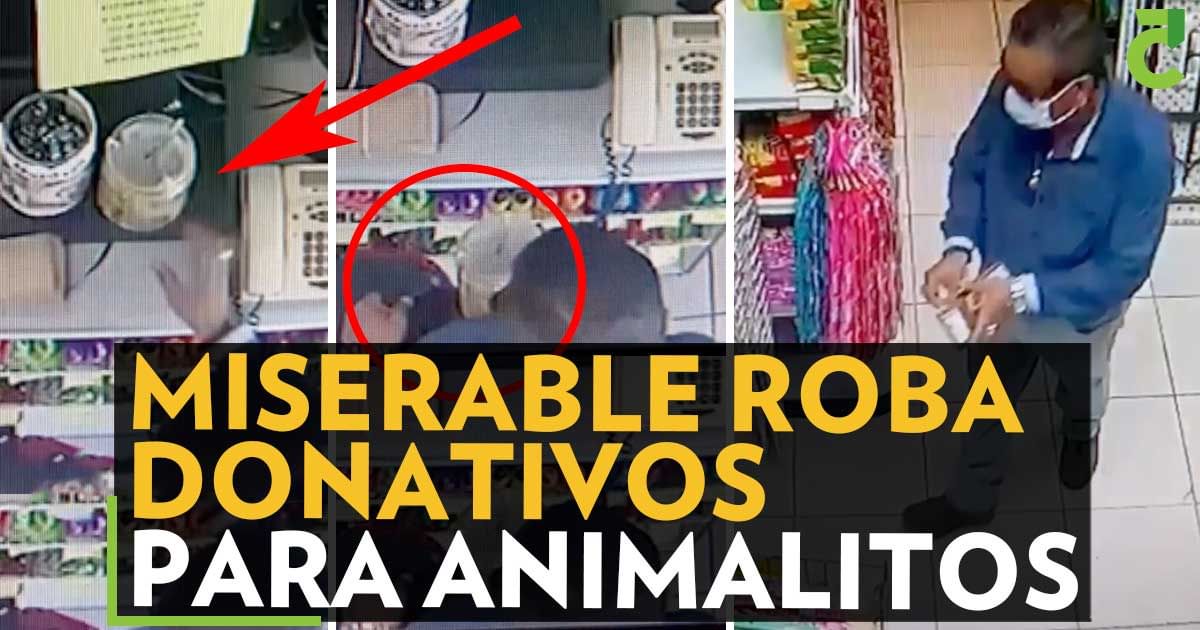 Miserable roba donativos para animalitos 