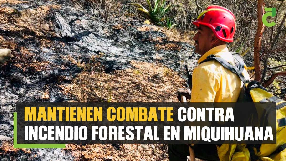 Mantienen combate contra incendio forestal en Miquihuana
