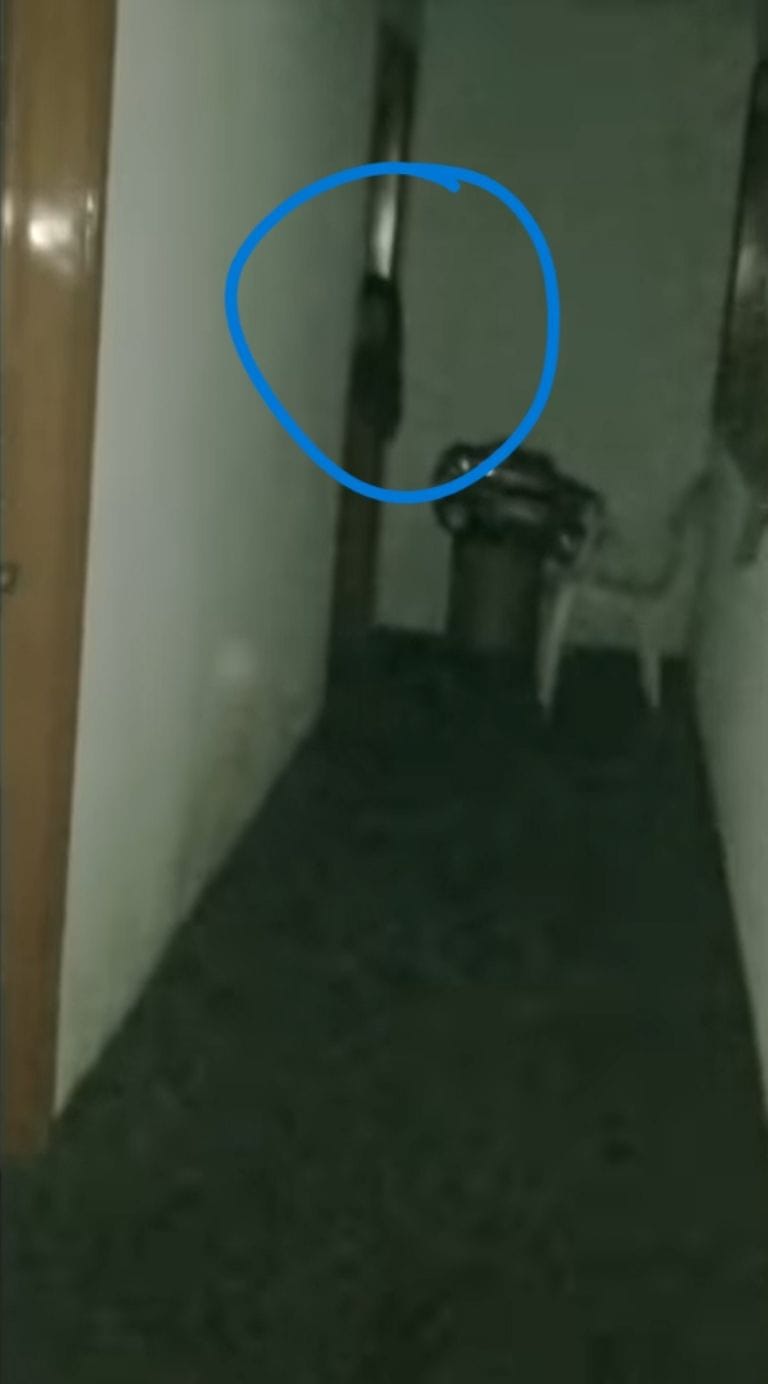 El rostro la observaba desde la oscuridad.