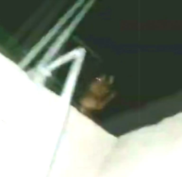 La entidad cada vez se acercaba más.