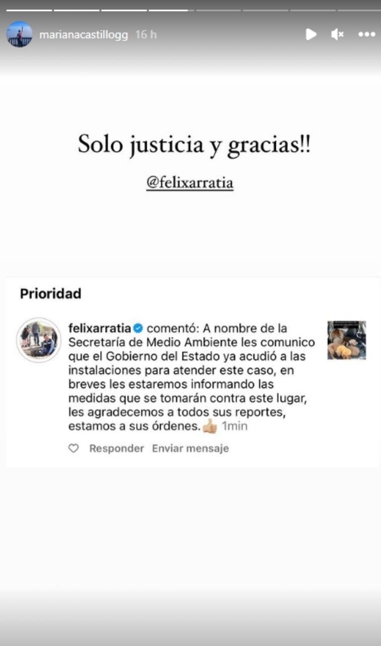 El secretario de Medio Ambiente atendió la denuncia. 