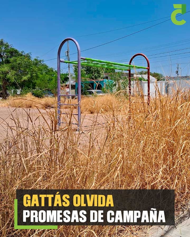 Gattás olvida promesas de campaña