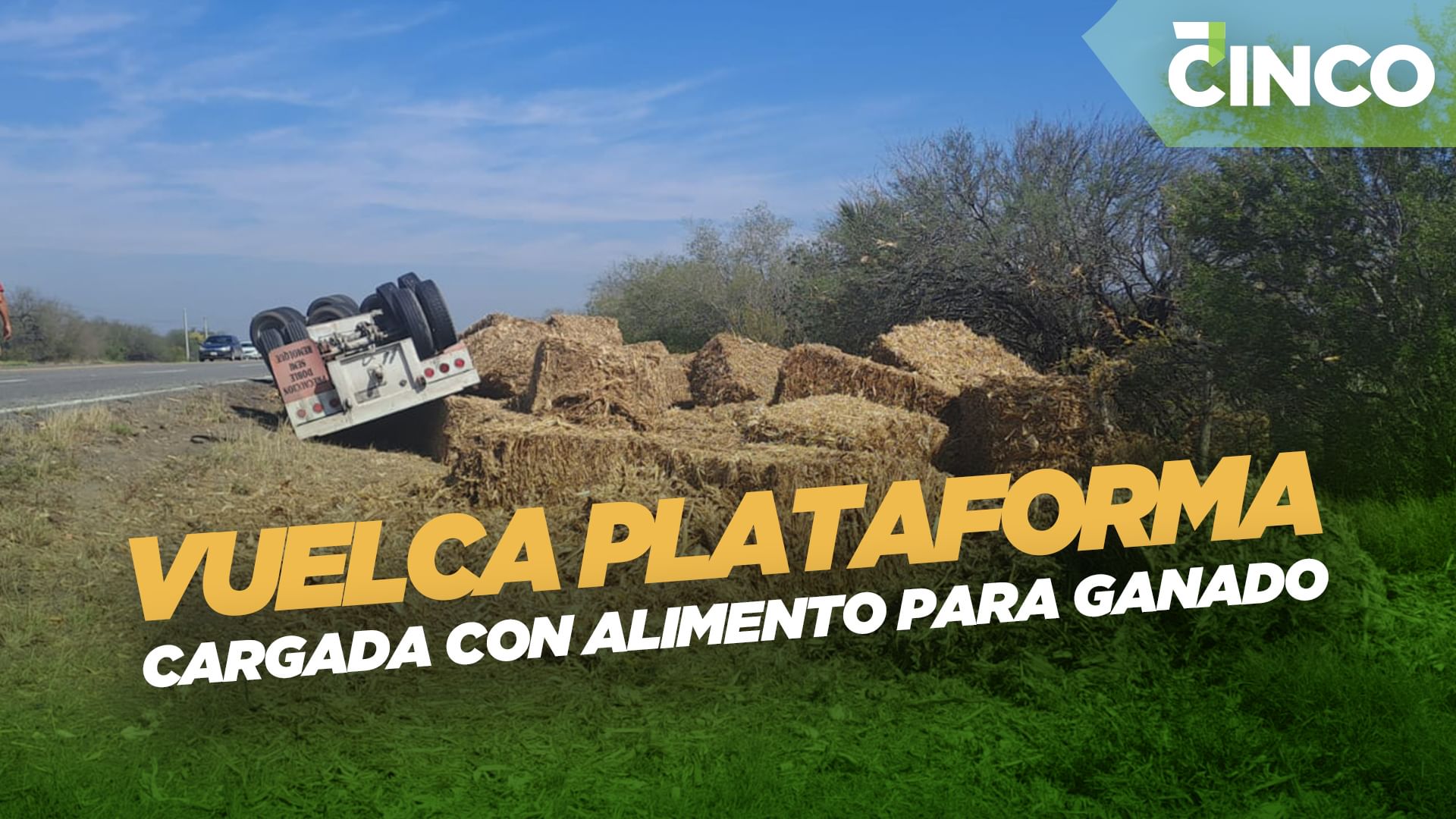 Vuelca plataforma cargada con alimento para ganado