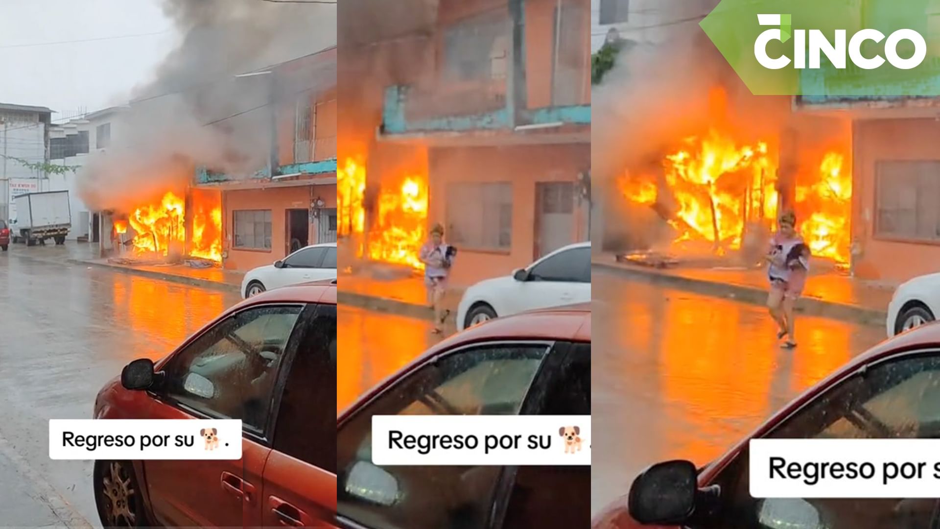Mujer arriesga su vida y salva a su perrito de un incendio