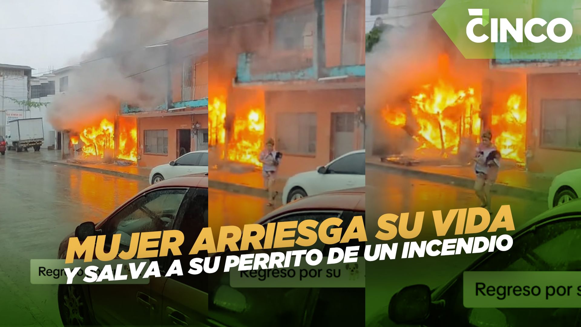 Mujer arriesga su vida y salva a su perrito de un incendio