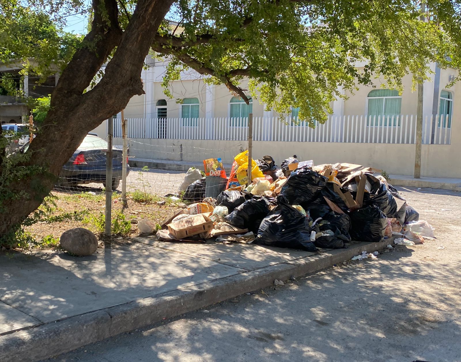 Vecinos de la colonia Moderna denuncian abandono en recolección de basura