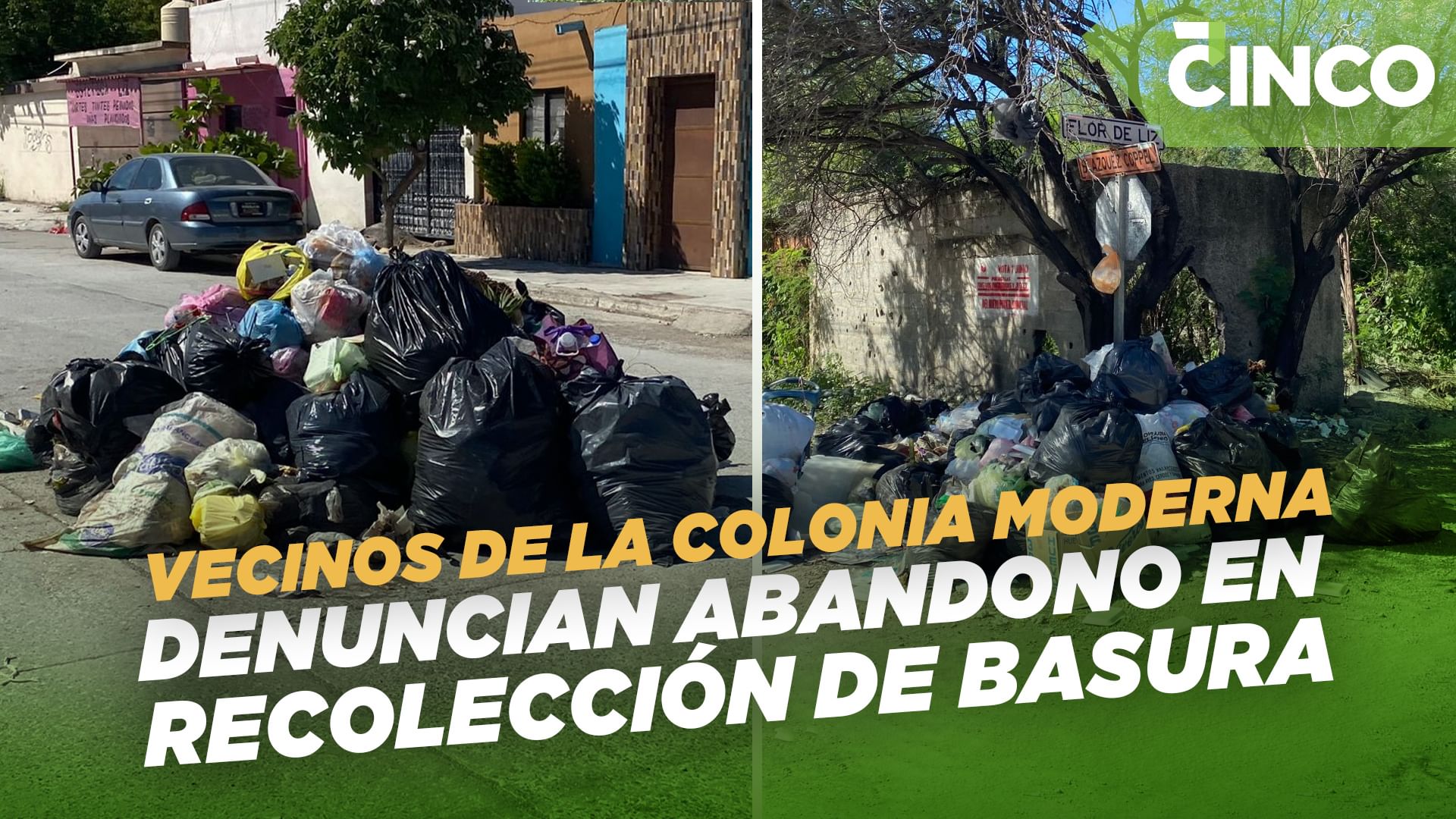 Vecinos de la colonia Moderna denuncian abandono en recolección de basura