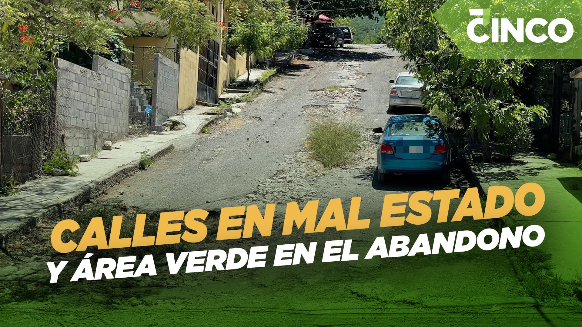 Calles en mal estado y área verde en el abandono