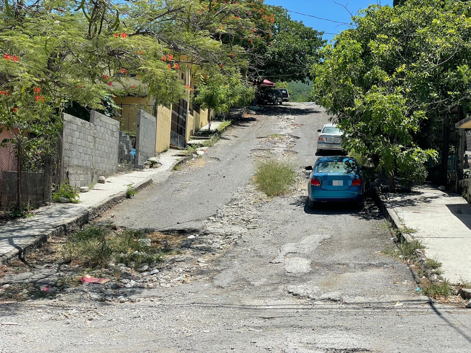 Calles en mal estado y área verde en el abandono