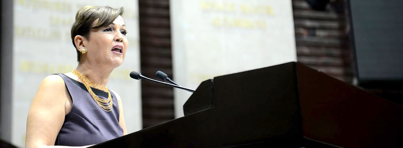 Fallece la diputada panista Mayra Angélica Enríquez